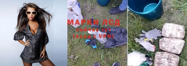 мяу мяу мука Покачи