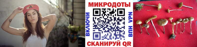 Галлюциногенные грибы GOLDEN TEACHER  Купить закладки  Туран 